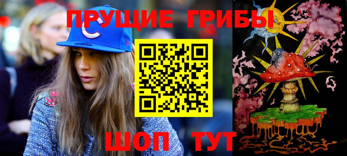 Псилоцибиновые грибы Cubensis Фрязино