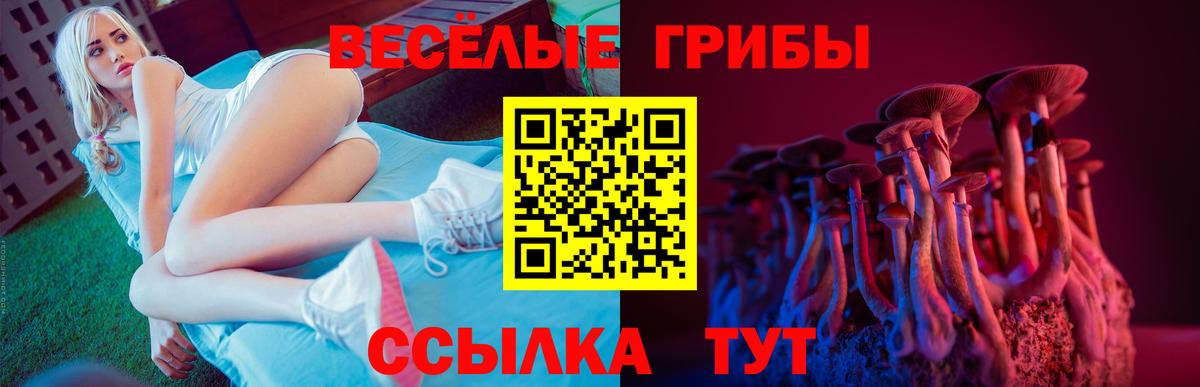 магазин  наркотиков  Псилоцибиновые грибы Magic Shrooms  Вход с VPN  Фрязино  Галлюциногенные грибы Cubensis 